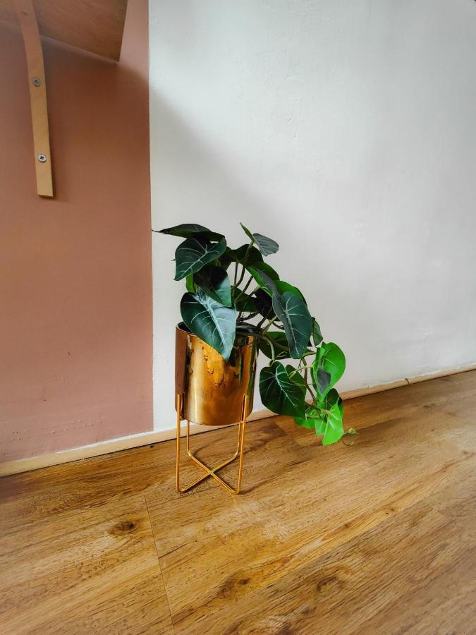 Charmant T2 Atypique, Renove, Confortable Béziers Dış mekan fotoğraf